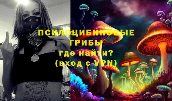 круглые Арсеньев