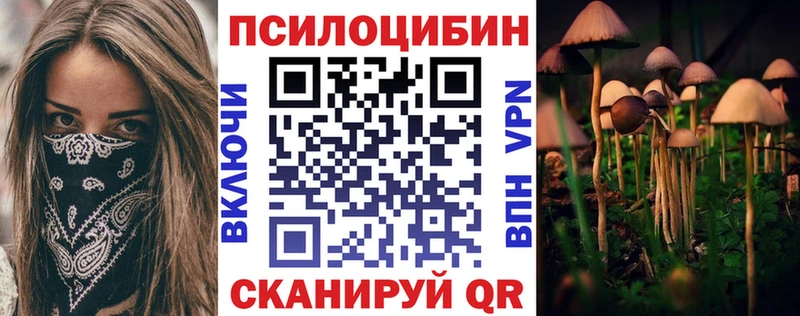Галлюциногенные грибы прущие грибы цена Александровское
